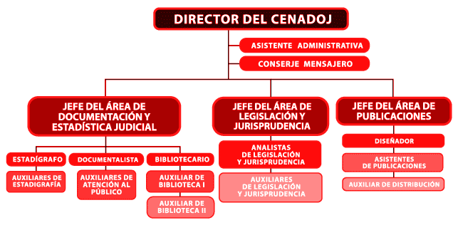 organigrama del CENADOJ